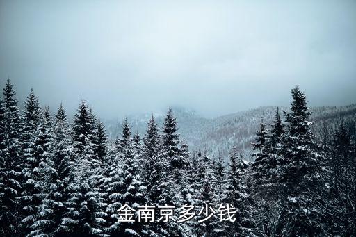 金南京多少钱