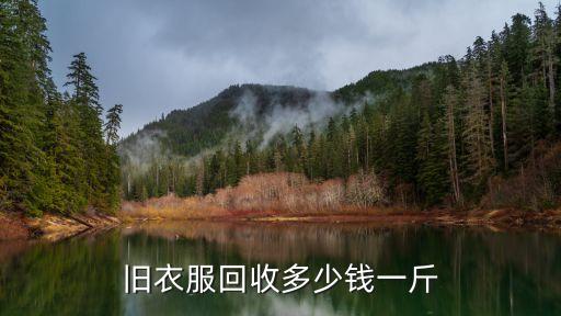 旧衣服回收多少钱一斤