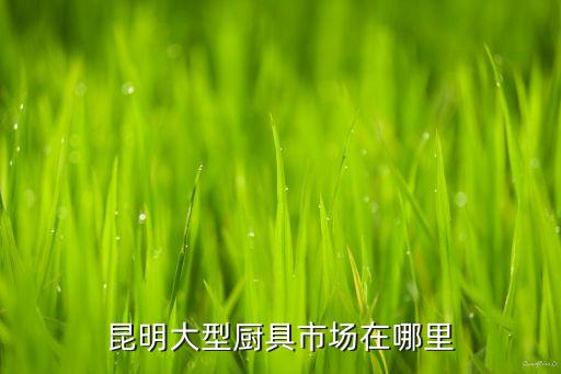 昆明厨具批发市场，昆明卖厨房灶具的市场在哪里