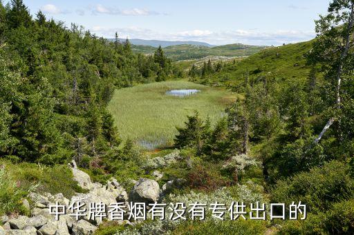 中华牌香烟有没有专供出口的