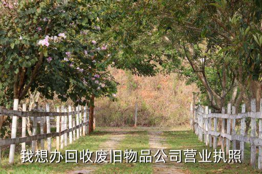 我想办回收废旧物品公司营业执照