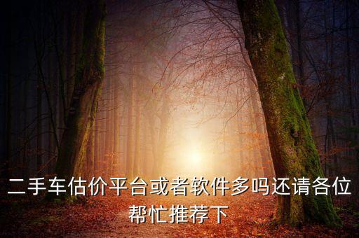 二手车估价平台或者软件多吗还请各位帮忙推荐下