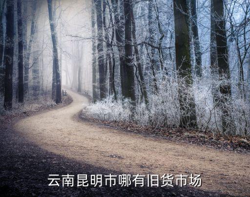 云南昆明市哪有旧货市场