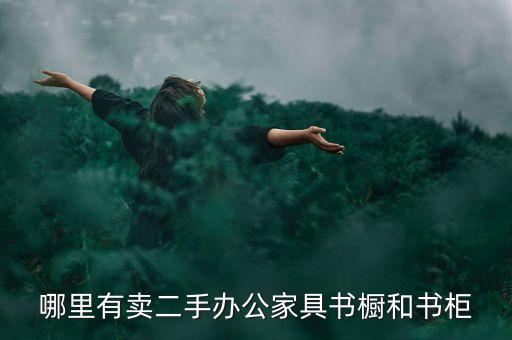 哪里有卖二手办公家具书橱和书柜