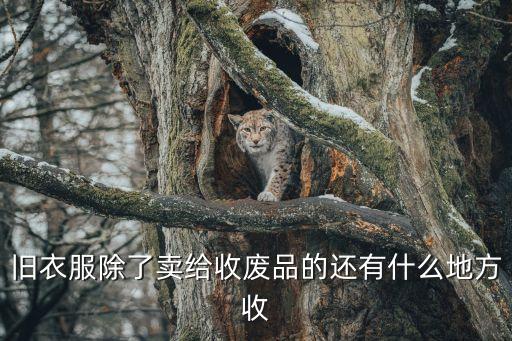 旧衣服除了卖给收废品的还有什么地方收