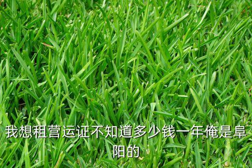 租营业执照一年多少钱，我想租营运证不知道多少钱一年俺是阜阳的