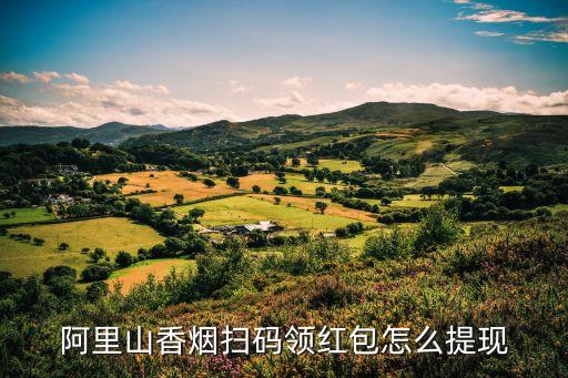 阿里山香烟扫码领红包怎么提现