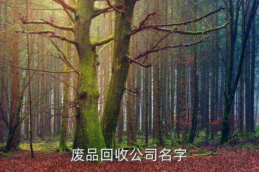废品回收公司名字
