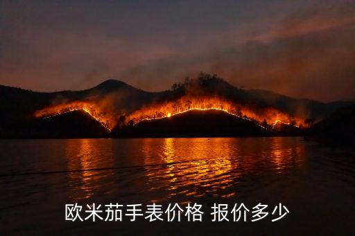 欧米茄官方手表价格及图片，欧米茄手表多少钱一个