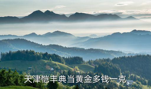 天津恺丰典当黄金多钱一克