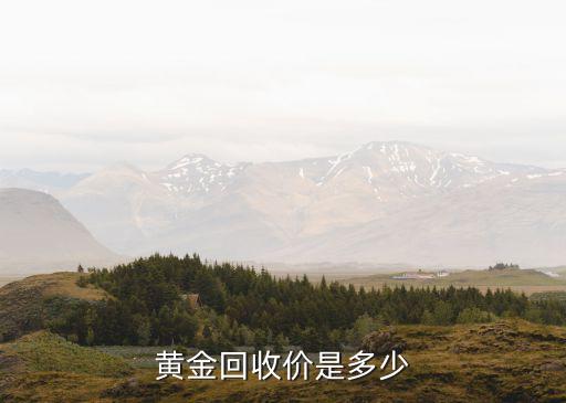 黄金回收价是多少