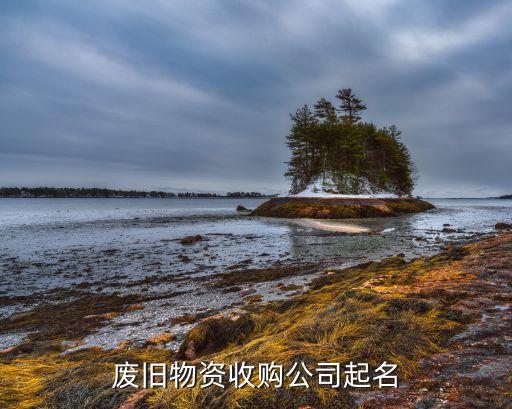 废旧物资收购公司起名