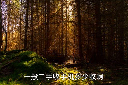 一般二手收手机多少收啊