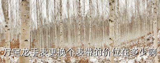万宝龙手表更换个表带的价位在多少啊