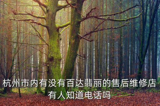 杭州市内有没有百达翡丽的售后维修店有人知道电话吗