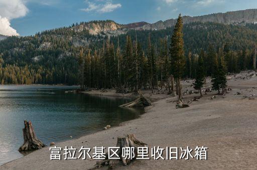 哪里有回收冰箱的电话，哪里有回收旧电器电话