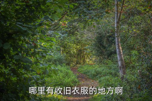 哪里有收旧衣服的地方啊