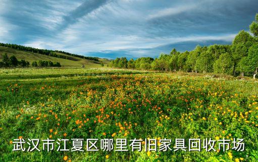 武汉市江夏区哪里有旧家具回收市场