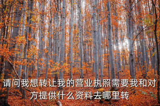 请问我想转让我的营业执照需要我和对方提供什么资料去哪里转