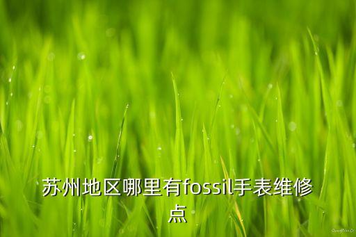 苏州地区哪里有fossil手表维修点