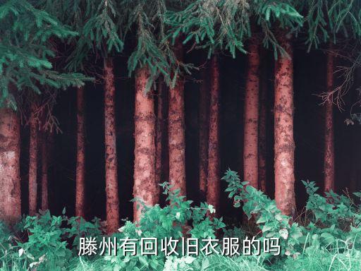滕州有回收旧衣服的吗
