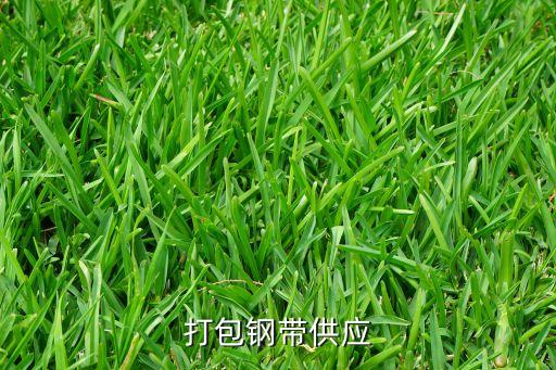 打包钢带供应