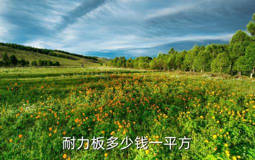 耐力板多少钱一平方
