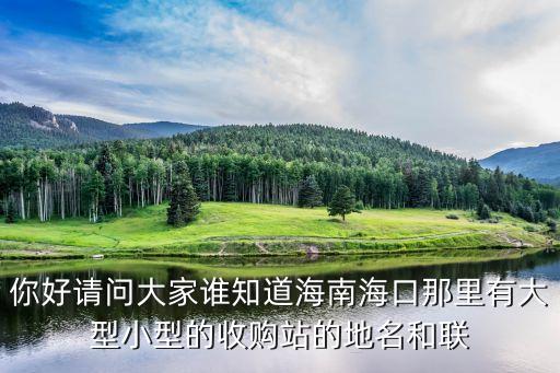 你好请问大家谁知道海南海口那里有大型小型的收购站的地名和联