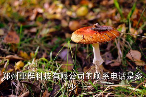 郑州亚群科技有限公司的联系电话是多少