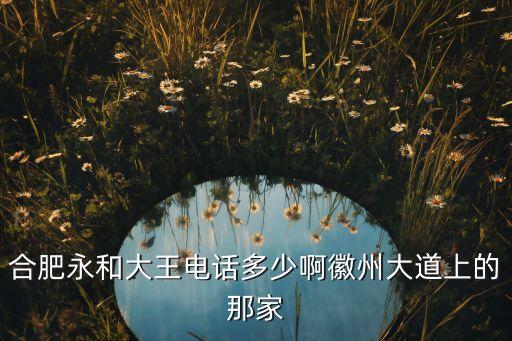 合肥永和大王电话多少啊徽州大道上的那家