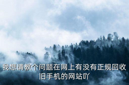 我想请教个问题在网上有没有正规回收旧手机的网站吖