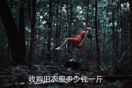 收购旧衣服多少钱一斤