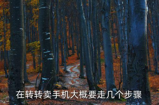 在转转卖手机大概要走几个步骤