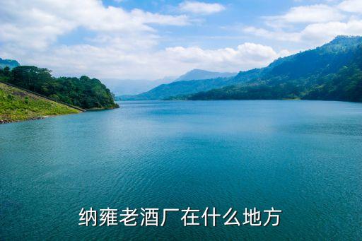 老品酒厂，吉林四平市老白酒厂出品的极品老白酒有人知道是什么价格