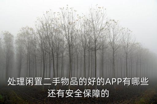 处理闲置二手物品的好的APP有哪些还有安全保障的