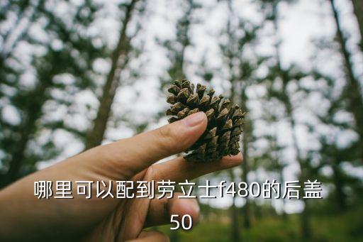 哪里可以配到劳立士f480的后盖 50