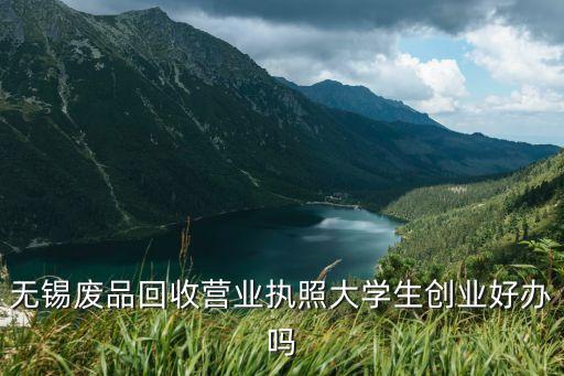 无锡废品回收营业执照大学生创业好办吗