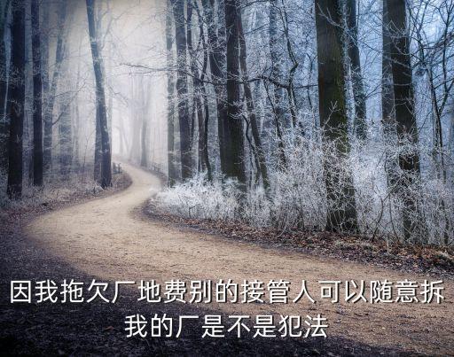 因我拖欠厂地费别的接管人可以随意拆我的厂是不是犯法