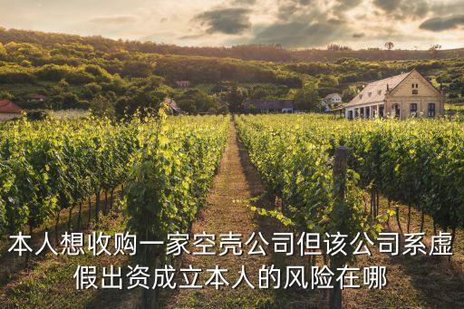 本人想收购一家空壳公司但该公司系虚假出资成立本人的风险在哪