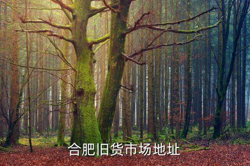 合肥旧货市场地址