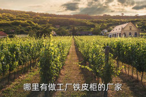 哪里有做工厂铁皮柜的厂家