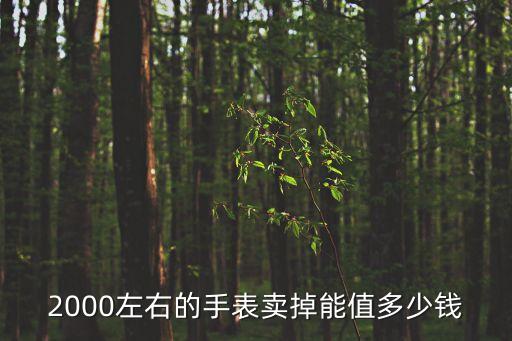 2000左右的手表卖掉能值多少钱