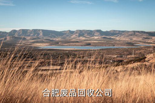 合肥废品回收公司