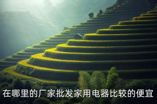 在哪里的厂家批发家用电器比较的便宜
