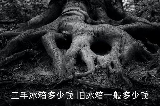 二手冰箱多少钱 旧冰箱一般多少钱