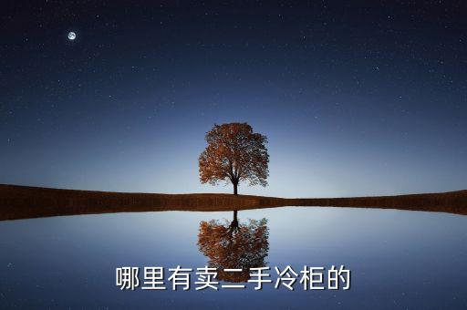 哪里有卖二手冷柜的