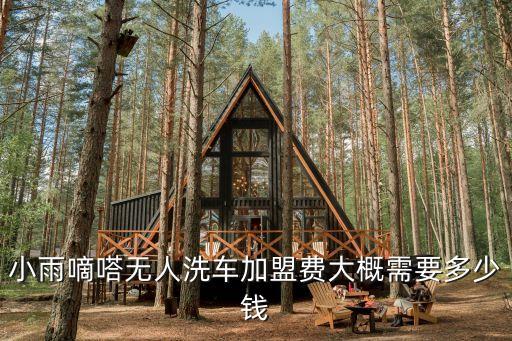 小雨嘀嗒无人洗车加盟费大概需要多少钱