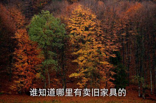 附近二手家具旧货市场在哪里，谁知道哪里有卖旧家具的