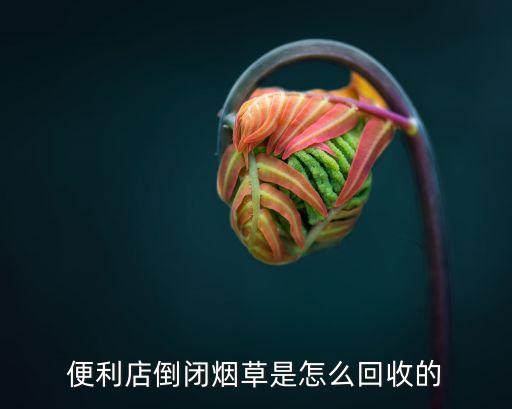 便利店倒闭烟草是怎么回收的