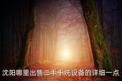 沈阳哪里出售二手干洗设备的详细一点
